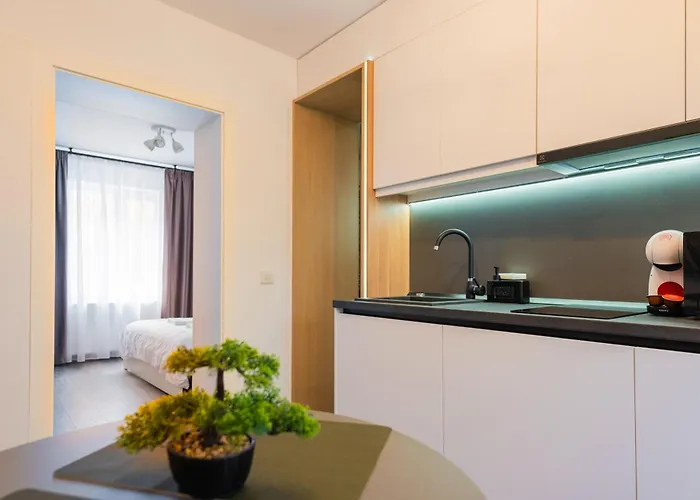 Apartament Fun House - Comfortable With Garden And Near Parking *